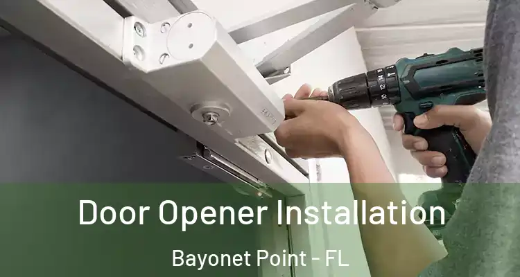 Door Opener Installation Bayonet Point - FL