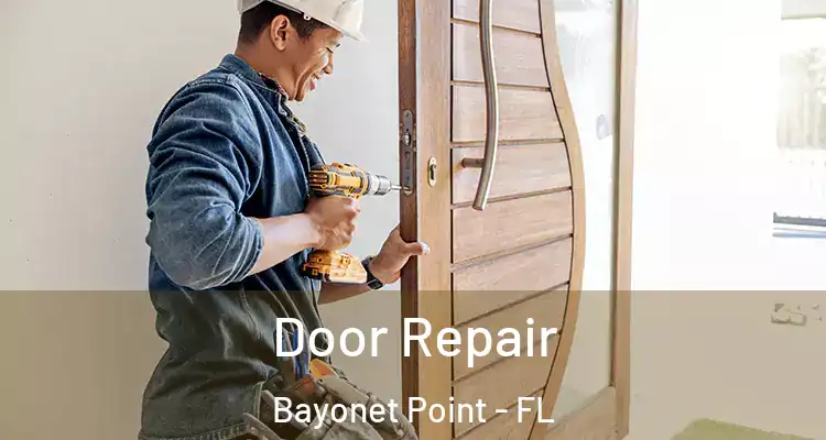  Door Repair Bayonet Point - FL