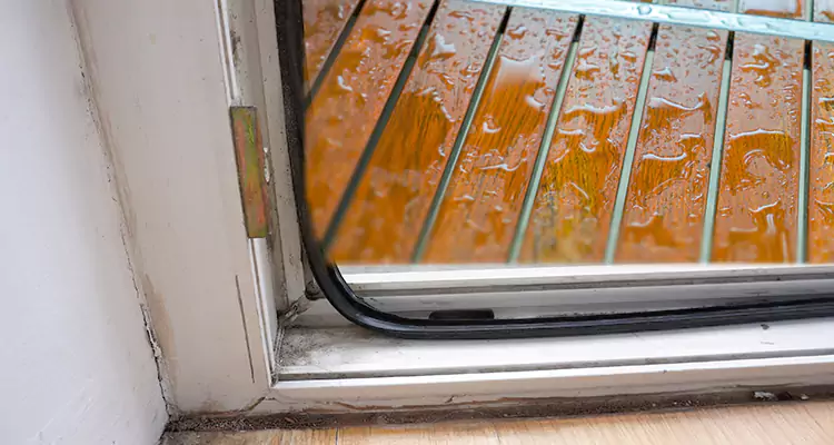 Water Leaking Wooden Patio Doors Repair in Bayonet Point, FL