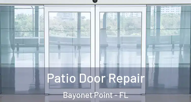 Patio Door Repair Bayonet Point - FL