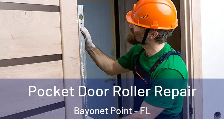  Pocket Door Roller Repair Bayonet Point - FL
