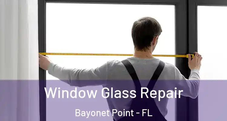  Window Glass Repair Bayonet Point - FL