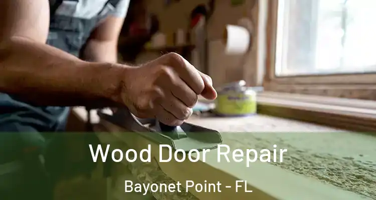  Wood Door Repair Bayonet Point - FL